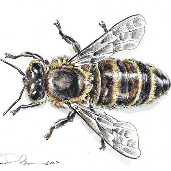 Meet your Posher, Laura - Picture 1 of 1